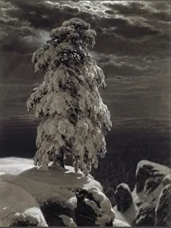 Shishkin Prints: In the wilds of the North, 1890. Creator: Shishkin, Ivan Ivanovich (1832-1898)