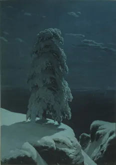 Shishkin Prints: In the wilds of the North. Artist: Shishkin, Ivan Ivanovich (1832-1898)