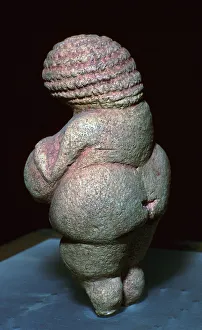 23rd Century Bc Prints: Willendorf Venus