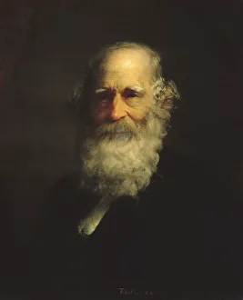 Bryant Gallery: William Cullen Bryant, 1876 (?). Creator: Thomas Le Clear