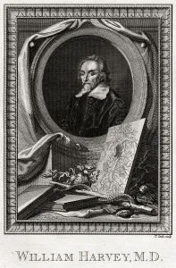 Aesculapius Collection: William Harvey, 1777. Artist: Thomas Cook