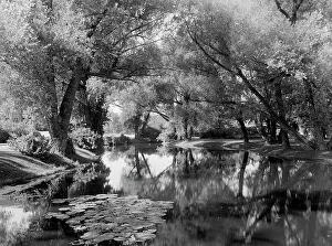 Lily Pads Prints: Willow Brook, home of Zenas Crane, Dalton, Mass. (c1909?). Creator: Unknown
