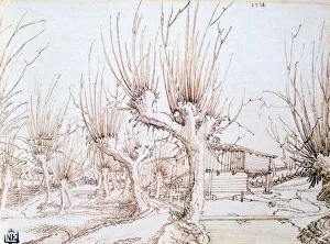 Plantation Prints: Willow Plantation, 1514. Artist: Wolf Huber