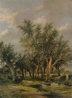 Ashmolean Museum Of Art And Archaeology Collection: The Willow Stream, c1839. Artist: James Stark