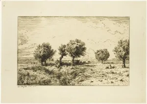 Jacque Charles Emile Prints: Willows in a Landscape, 1844. Creator: Charles Emile Jacque