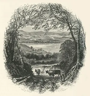 Herding Prints: Windermere, from above Ambleside, c1870