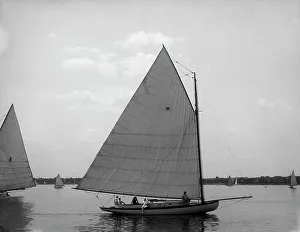 Windora, 1899 July 15. Creator: Johns Johnston