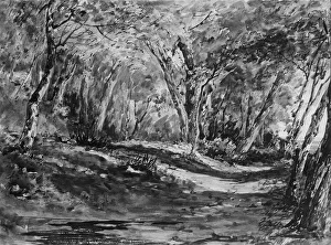 John F Prints: Windsor Forest, 1844. Creator: John Frederick Kensett