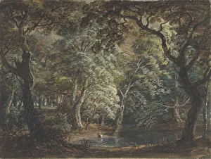 Paul Sandby Prints: Windsor Great Park, 1790-99. Creator: Paul Sandby