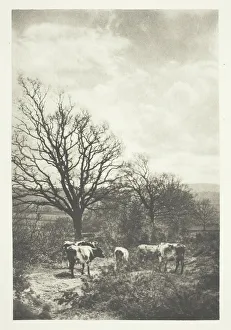 A Windy Corner, 1880/90, printed January 1891. Creator: B. Gay Wilkinson A Windy Corner, 1880/90, printed January 1891. Creator: B. Gay Wilkinson