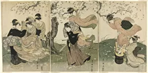Cherry Trees Collection: A Windy Day under the Cherry Trees, c. 1797. Creator: Utagawa Toyokuni I