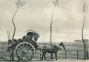 Cask Gallery: Wine-carrier in the Campagna, Rome, Italy, 1927. Artist: Eugen Poppel