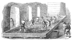 Raking Prints: Wine-Making, at the Chateau Lafitte, 1854. Creator: Unknown