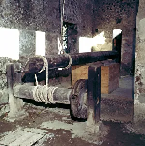 Wine-press in a house in Pompeii, Italy