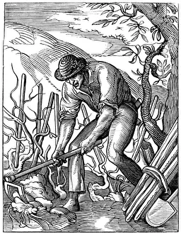 A Cabasson Prints: Winemaker, 16th century (1849). Artist: Jost Amman