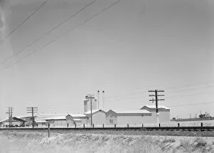 Train Track Collection: Winery belonging to Muscat Cooperative, on US 99. between Tulare and Fresno, California, 1939