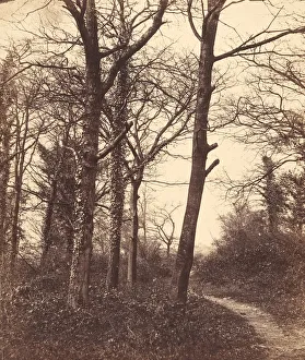 Conway Prints: Winter, 1855. Creator: Charles Conway