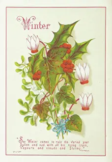Viscum Album Prints: Winter, 1886. Creator: Unknown