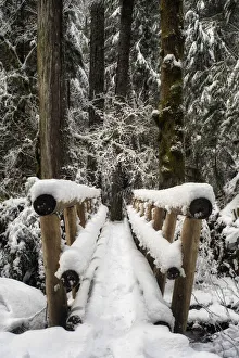 Railings Gallery: Winter Crossing. Creator: Joshua Johnston