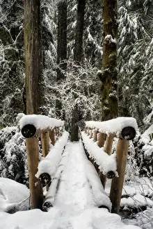 Pacific North West Prints: Winter Crossing. Creator: Joshua Johnston
