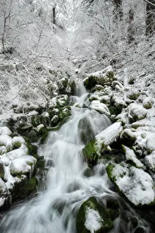 Pacific North West Prints: Winter Dream. Creator: Joshua Johnston
