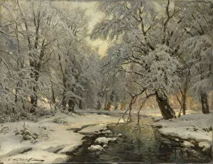 Coniferous Trees Gallery: Winter in the Forest, c1930