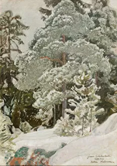 Coniferous Trees Gallery: Winter landscape, 1915