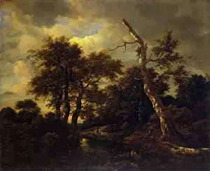 Stream Prints: Winter landscape with dead tree, 1660. Creator: Jacob van Ruisdael