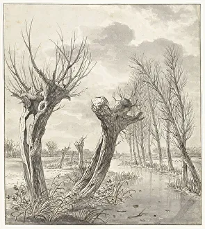 Willow Prints: Winter landscape with pollard willows along a frozen ditch