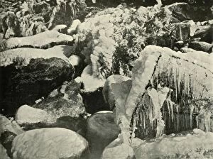 A Winter Scene in New England, 1901. Creator: Unknown