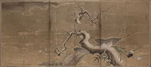 Winter Scene with Plum Trees and Pheasants, early 1600s. Creator: Kano Naonobu (Japanese