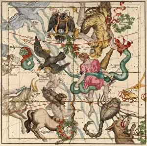 Equator Prints: Winter Solstice, Plate 5 from Globi coelestis in tabulas planas redacti descriptio, 1674