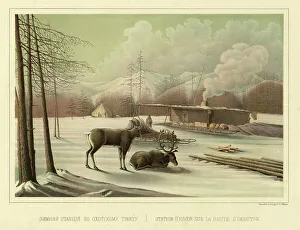 Reindeer Prints: Winter Station on the Route to Okhotsk, 1856. Creator: Ivan Dem'ianovich Bulychev