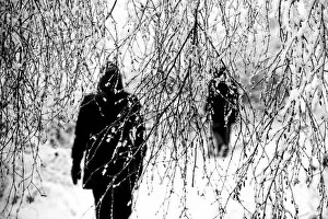 Ominous Collection: Winter Stroll. Creator: Dorte Verner