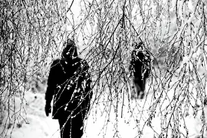 Strolling Prints: Winter Stroll. Creator: Dorte Verner