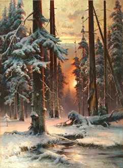 Images Dated 21st June 2013: Winter Sunset in the Fir Forest, 1889. Artist: Klever, Juli Julievich (Julius), von (1850-1924)