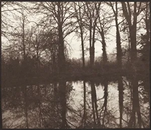 1800 1877 Prints: Winter Trees Reflected in a Pond