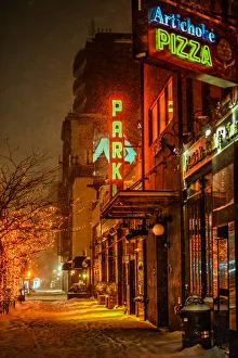 Pavement Collection: Winterized Park. Creator: Viet Chu