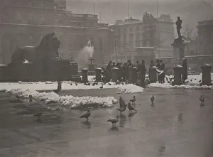 Pigeon Prints: Winter's bite, Trafalgar Square, 1920s. Creator: Harry Moult