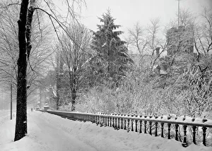 Snowy Prints: Winter's scene in Detroit, A, between 1900 and 1905. Creator: Unknown
