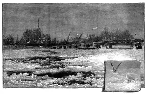 Laridae Prints: Wintry weather on the Thames: the river at Putney, 1881. Creator: Unknown