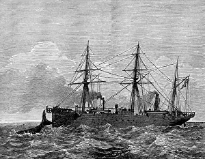 Persian Gulf Prints: Wiring a whale by the Persian Gulf Submarine Telegraph Cable, 1873. Creator: Unknown
