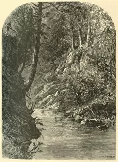 Creek Gallery: Wissahickon, near Paper-Mill Bridge, 1874. Creator: John Filmer