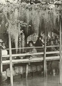 Arbour Prints: A Wisteria Arbour at Kameido, 1910. Creator: Herbert Ponting