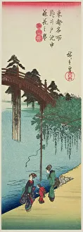 Chu Tanzaku Prints: Wisteria in Full Bloom over the Pond at Kameido Shrine (Kameido ike chu fujibana no)