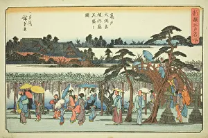 Bloom Prints: Wisteria in Full Bloom in the Precincts of the Kameido Tenmangu Shrine (Kameido Tenm)