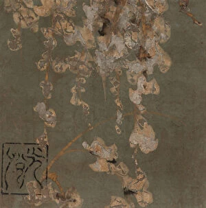 Images Dated 19th August 2021: Wisteria blossoms, Edo period, early 17th century. Creator: Hon'ami Koetsu