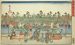 Wisteria Prints: Wisteria at Kameido (Kameido Tenjin fuji hana)