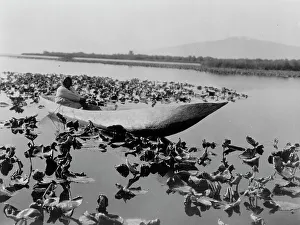 Oregon United States Of America Prints: The wokas season-Klamath, c1923. Creator: Edward Sheriff Curtis