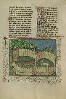 Enclosure Prints: A Wolf Caught in a Fenced Trap Baited with a Lamb; Livre de la Chasse